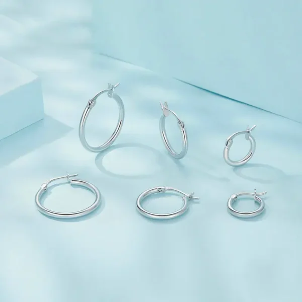 Essential Silver Hoops Collection Earrings