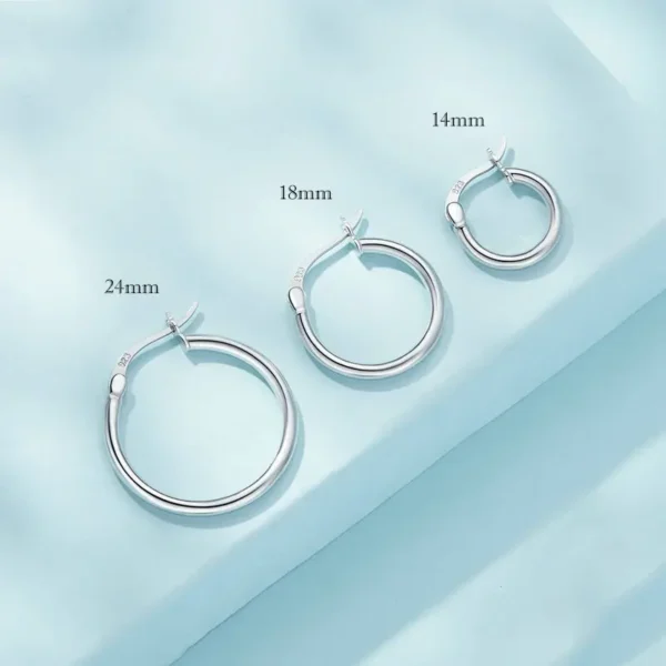 Essential Silver Hoops Collection Earrings