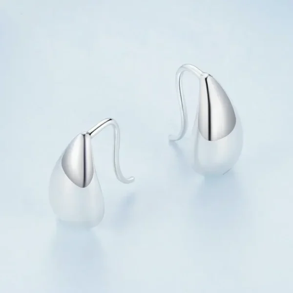 Sleek Silver Waterdrop Earrings